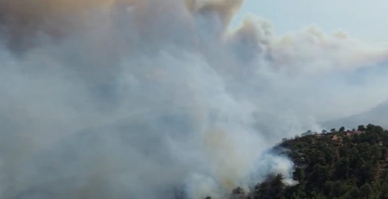 Silifke’de orman yangını