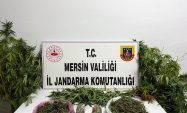 JANDARMADAN UYUŞTURUCU MADDE OPERASYONU