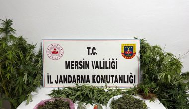 JANDARMADAN UYUŞTURUCU MADDE OPERASYONU