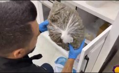 ZEHİR TACİRLERİNE BÜYÜK DARBE 31 ŞÜPHELİ YAKALANDI ZEHİR TACİRLERİNE BÜYÜK DARBE 31 ŞÜPHELİ YAKALANDI