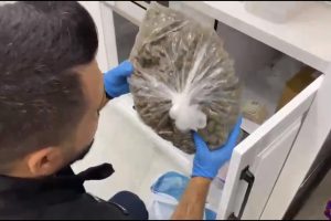 ZEHİR TACİRLERİNE BÜYÜK DARBE 31 ŞÜPHELİ YAKALANDI