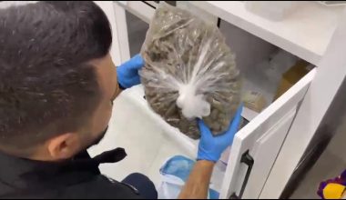 ZEHİR TACİRLERİNE BÜYÜK DARBE 31 ŞÜPHELİ YAKALANDI